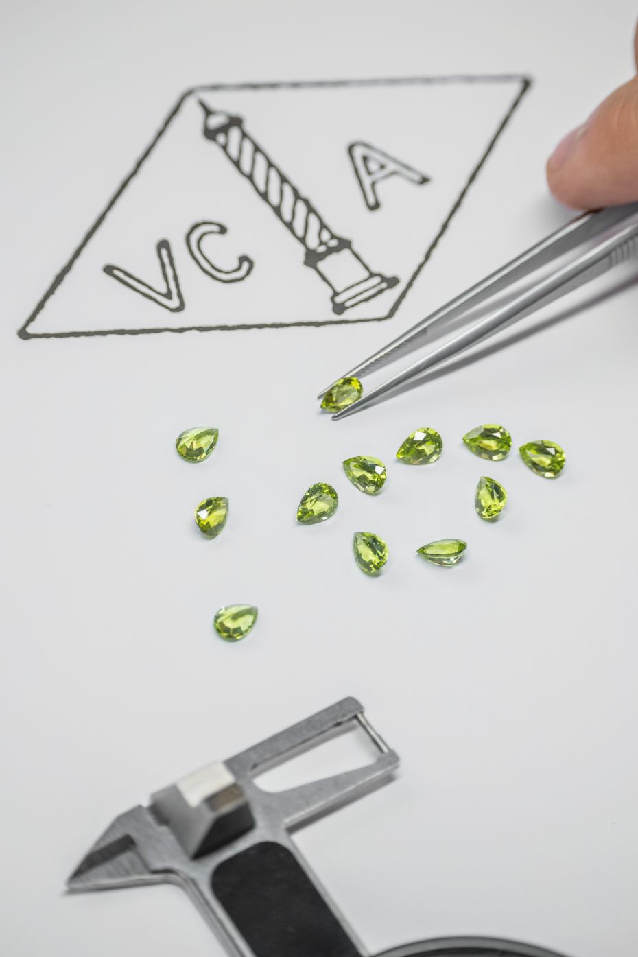 Fleurs d'Hawaï และ Flowerlace Savoir Faire คอลเลคชันเครื่องประดับอันประณีตจาก VCA