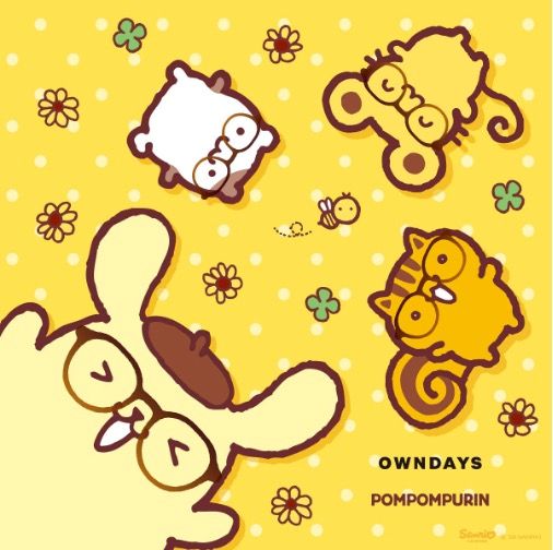 OWNDAYS เปิดตัวคอลเลกชันแว่นตา POMPOMPURIN ซีรีส์ 2 ฉลองครบรอบ 30 ปี จัดเต็ม 7 ดีไซน์สุดน่ารัก เอาใจแฟนคลับซานริโอ